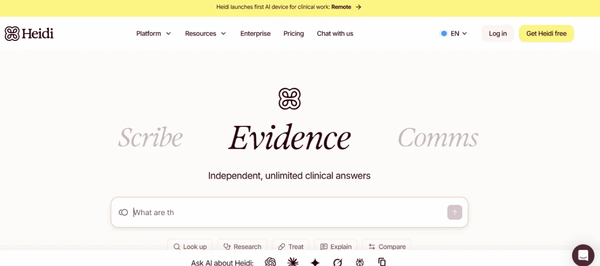 Heidi AI Homepage